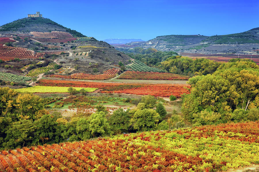 La Rioja: Spain's Wine Paradise