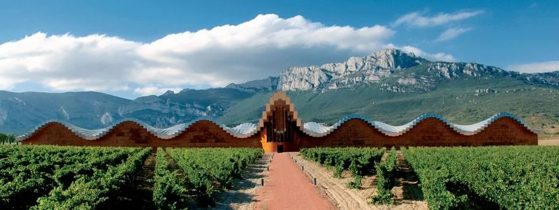 La Rioja: Spain's Wine Paradise